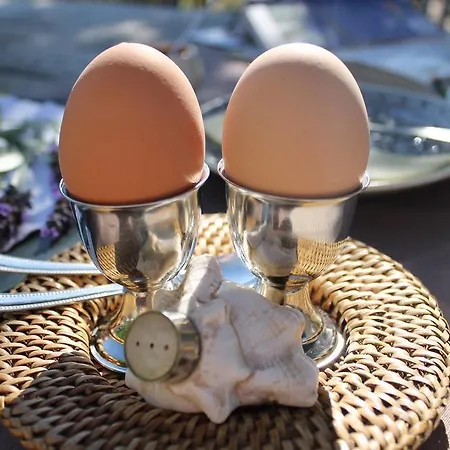 Bed & Breakfast 